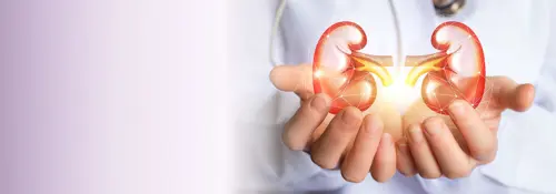 3 причини да смятаме бъбреците за едни от най-невероятните органи в човешкото тяло