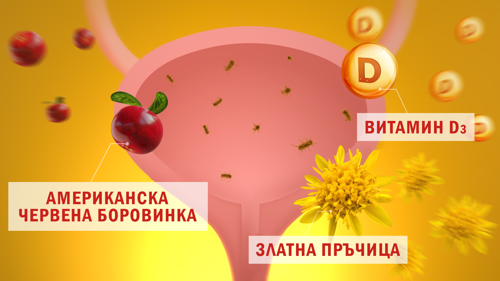 Bladder BG
