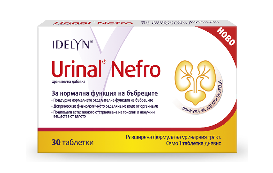 Kidneys BG